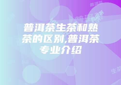 普洱茶生茶和熟茶的区别,普洱茶专业介绍