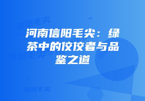 河南信阳毛尖：绿茶中的佼佼者与品鉴之道