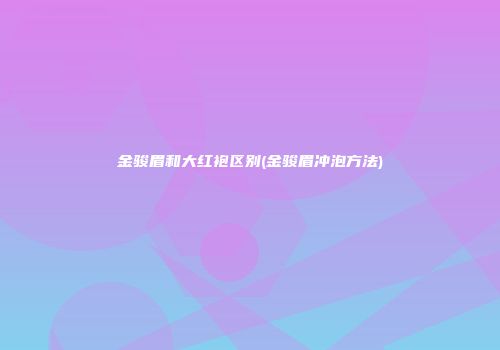 金骏眉和大红袍区别(金骏眉冲泡方法)