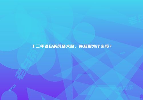十二年老白茶价格大涨，你知道为什么吗？