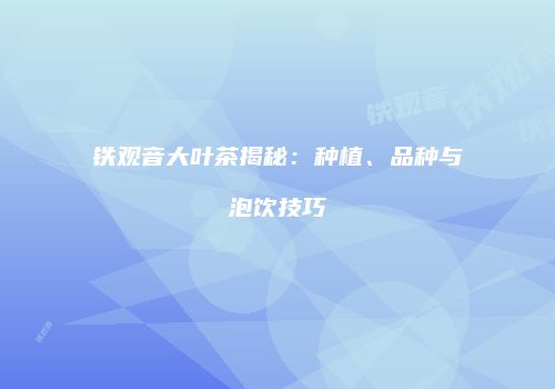 铁观音大叶茶揭秘：种植、品种与泡饮技巧
