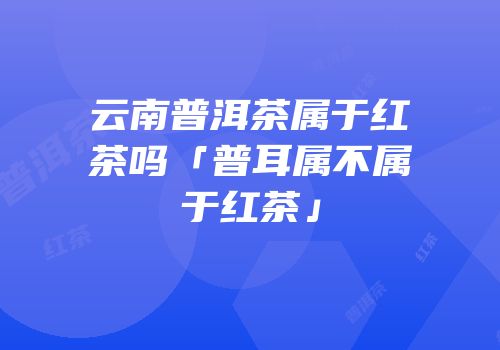 云南普洱茶属于红茶吗「普耳属不属于红茶」