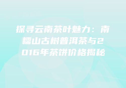 探寻云南茶叶魅力：南糯山古树普洱茶与2016年茶饼价格揭秘