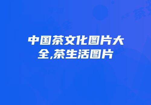 中国茶文化图片大全,茶生活图片