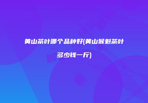 黄山茶叶哪个品种好(黄山猴魁茶叶多少钱一斤)