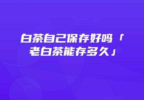 白茶自己保存好吗「老白茶能存多久」