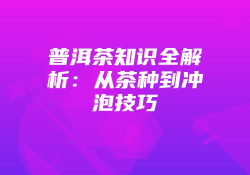 普洱茶知识全解析：从茶种到冲泡技巧