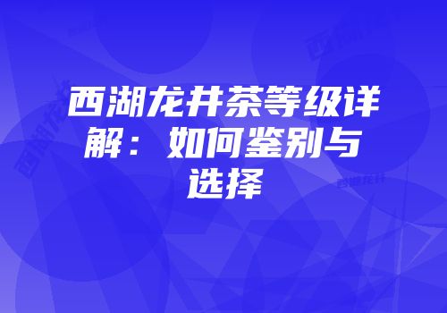 西湖龙井茶等级详解：如何鉴别与选择