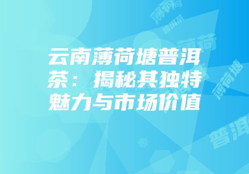 云南薄荷塘普洱茶：揭秘其独特魅力与市场价值