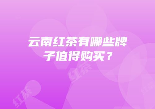 云南红茶有哪些牌子值得购买？
