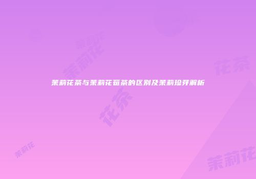 茉莉花茶与茉莉花苞茶的区别及茉莉珍芽解析