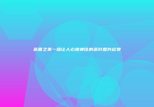 茶园之美一组让人心驰神往的茶叶图片欣赏