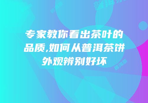 专家教你看出茶叶的品质,如何从普洱茶饼外观辨别好坏