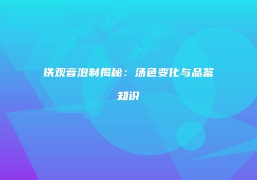 铁观音泡制揭秘：汤色变化与品鉴知识