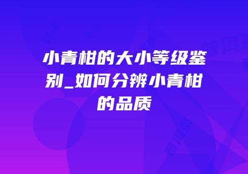 小青柑的大小等级鉴别_如何分辨小青柑的品质