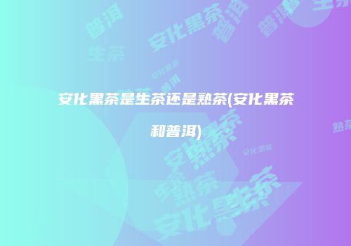 安化黑茶是生茶还是熟茶(安化黑茶和普洱)