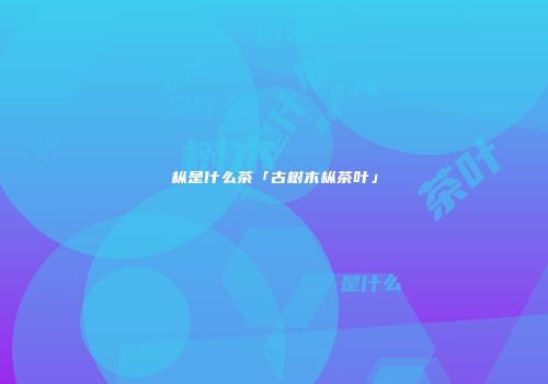 枞是什么茶「古树木枞茶叶」