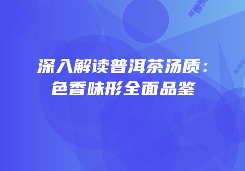 深入解读普洱茶汤质：色香味形全面品鉴