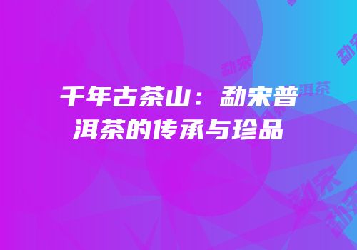 千年古茶山：勐宋普洱茶的传承与珍品