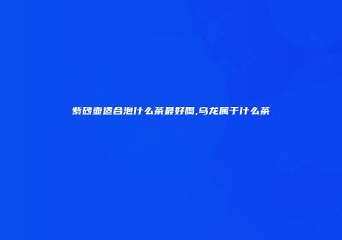 紫砂壶适合泡什么茶最好喝,乌龙属于什么茶