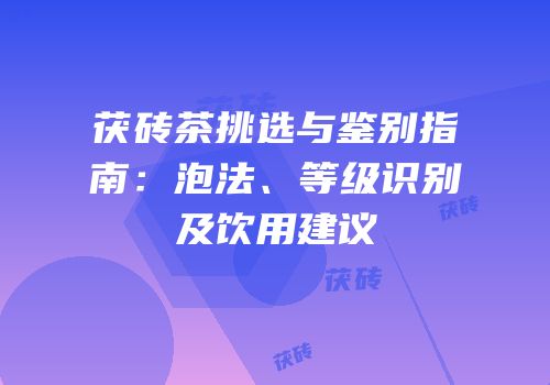 茯砖茶挑选与鉴别指南：泡法、等级识别及饮用建议