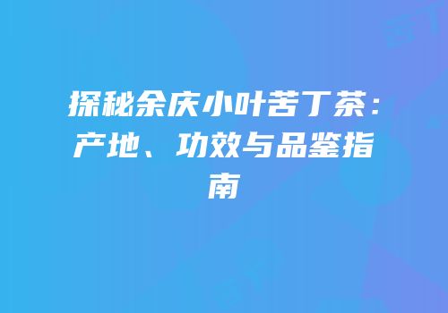 探秘余庆小叶苦丁茶：产地、功效与品鉴指南