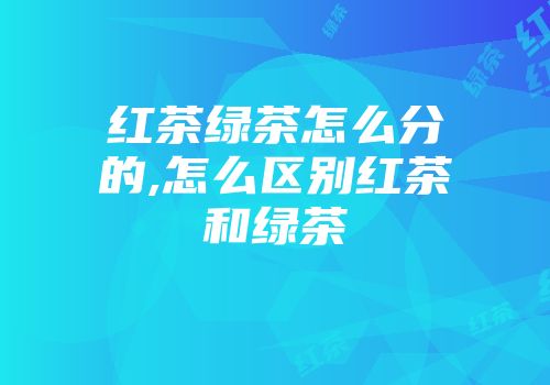 红茶绿茶怎么分的,怎么区别红茶和绿茶