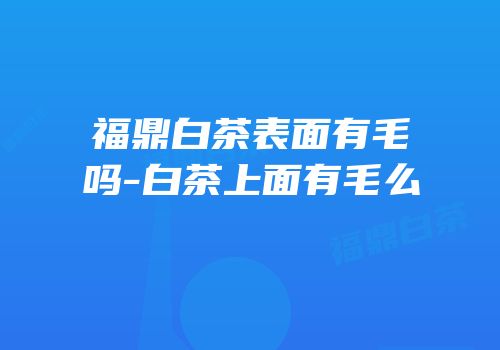 福鼎白茶表面有毛吗-白茶上面有毛么