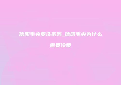 信阳毛尖要洗茶吗_信阳毛尖为什么需要冷藏