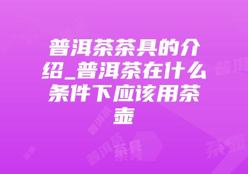 普洱茶茶具的介绍_普洱茶在什么条件下应该用茶壶