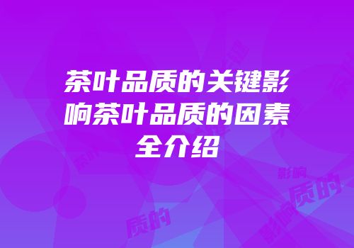 茶叶品质的关键影响茶叶品质的因素全介绍