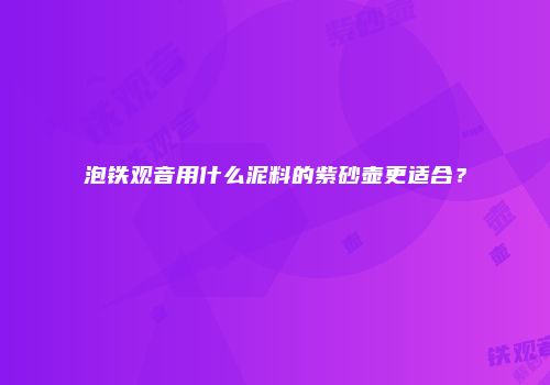 泡铁观音用什么泥料的紫砂壶更适合？