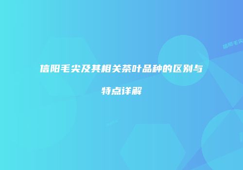 信阳毛尖及其相关茶叶品种的区别与特点详解