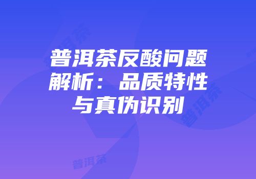 普洱茶反酸问题解析：品质特性与真伪识别