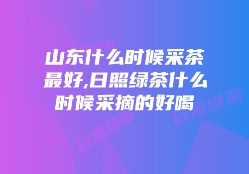 山东什么时候采茶最好,日照绿茶什么时候采摘的好喝