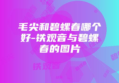 毛尖和碧螺春哪个好-铁观音与碧螺春的图片