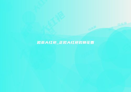 岩茶大红袍_正岩大红袍岩骨花香