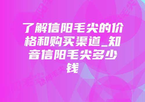 了解信阳毛尖的价格和购买渠道_知音信阳毛尖多少钱