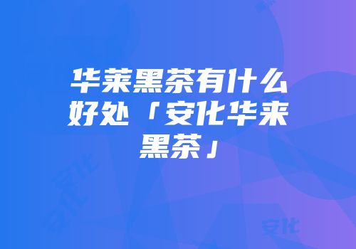 华莱黑茶有什么好处「安化华来黑茶」