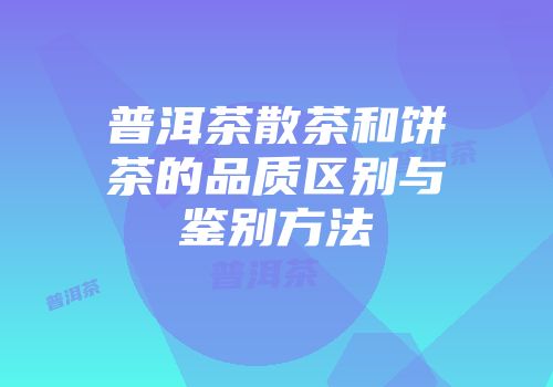普洱茶散茶和饼茶的品质区别与鉴别方法