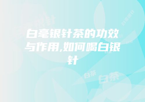 白毫银针茶的功效与作用,如何喝白银针