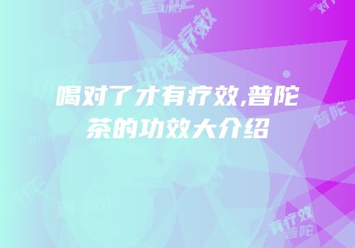 喝对了才有疗效,普陀茶的功效大介绍