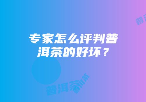 专家怎么评判普洱茶的好坏？