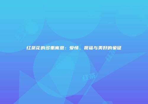 红茶花的多重寓意：爱情、祝福与美好的象征
