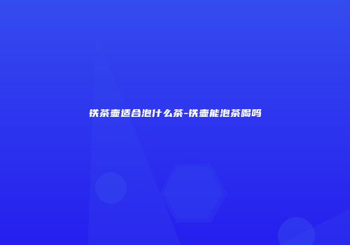 铁茶壶适合泡什么茶-铁壶能泡茶喝吗
