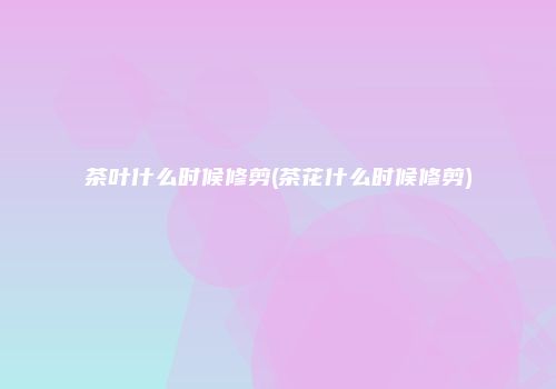 茶叶什么时候修剪(茶花什么时候修剪)