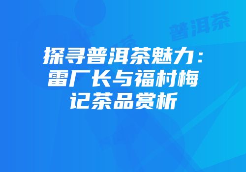 探寻普洱茶魅力：雷厂长与福村梅记茶品赏析