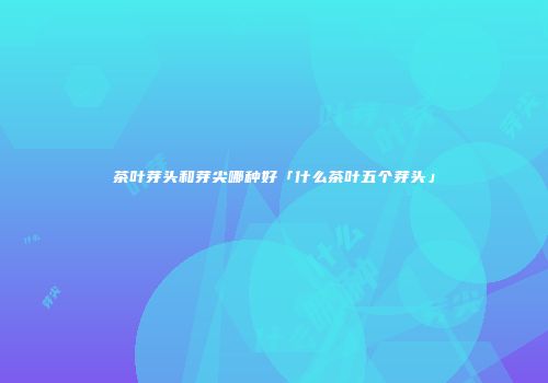 茶叶芽头和芽尖哪种好「什么茶叶五个芽头」