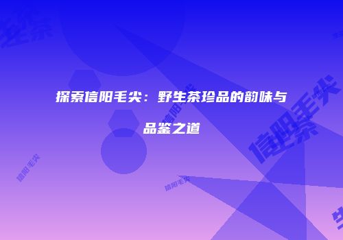 探索信阳毛尖：野生茶珍品的韵味与品鉴之道