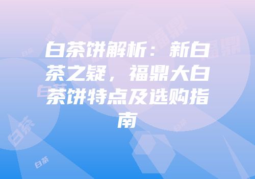 白茶饼解析：新白茶之疑，福鼎大白茶饼特点及选购指南